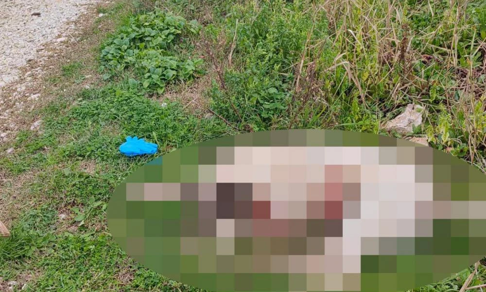 Κτηνωδία στην Πρέβεζα: Πυροβόλησε και σκότωσε σκύλο μέσα στον κόσμο σε περιοχή που έπαιζαν παιδιά